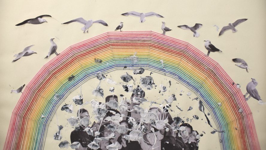 Gaivotas em Terra | Foto: JUNO