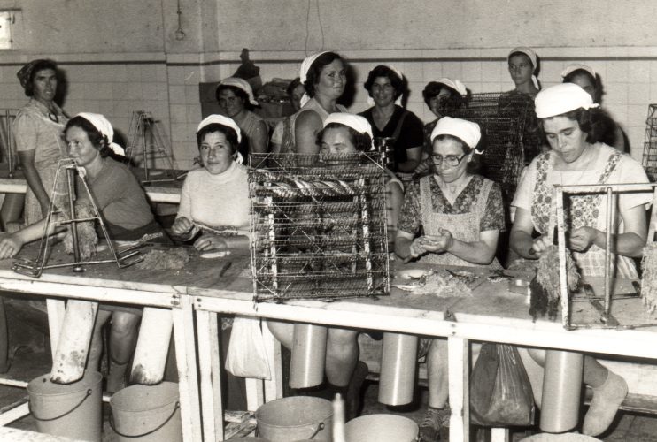 Conserveira Pimenta | Fototeca Municipal de Lagos