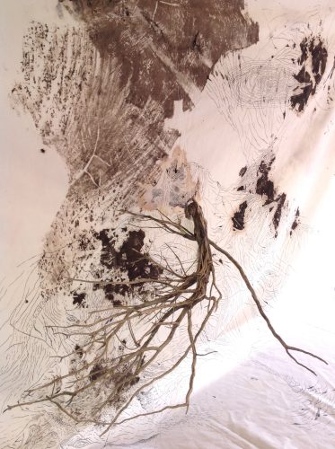 Foto cedida por Leonor Morais