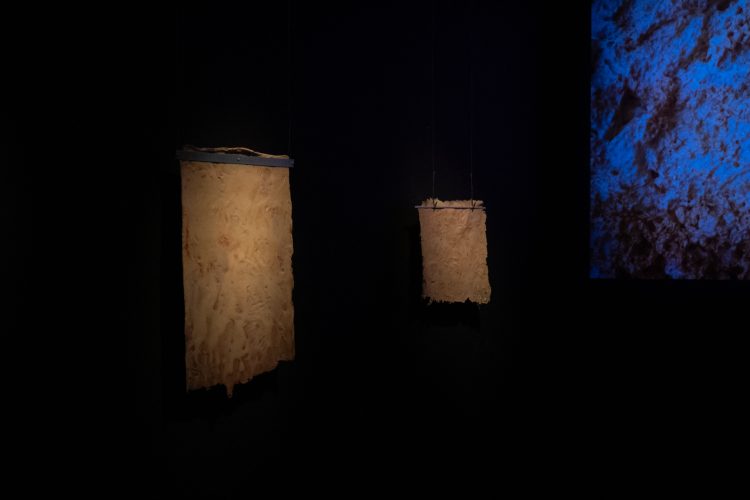 Foto | Daniel Bastos